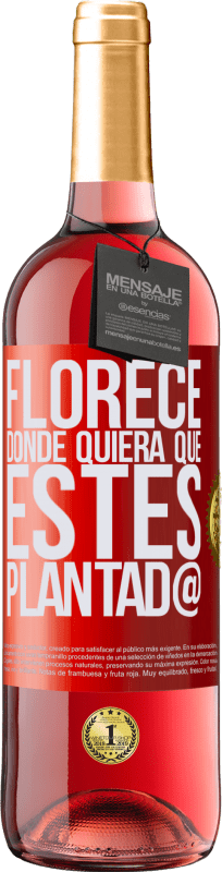 29,95 € Envío gratis | Vino Rosado Edición ROSÉ Florece donde quiera que estés plantad@ Etiqueta Roja. Etiqueta personalizable Vino joven Cosecha 2024 Tempranillo