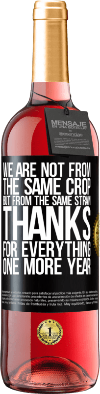 29,95 € Free Shipping | Rosé Wine ROSÉ Edition We are not from the same crop, but from the same strain. Thanks for everything, one more year Black Label. Customizable label Young wine Harvest 2024 Tempranillo