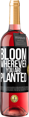 29,95 € Free Shipping | Rosé Wine ROSÉ Edition It blooms wherever you are planted Black Label. Customizable label Young wine Harvest 2023 Tempranillo