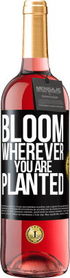 29,95 € Free Shipping | Rosé Wine ROSÉ Edition It blooms wherever you are planted Black Label. Customizable label Young wine Harvest 2024 Tempranillo