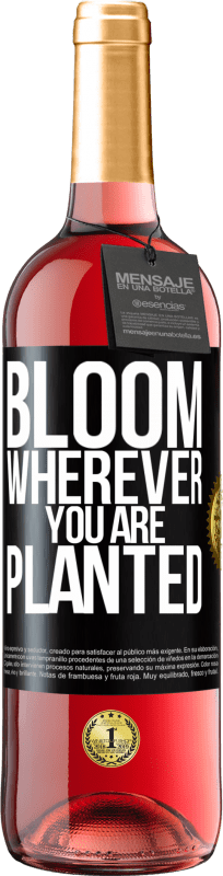 29,95 € Free Shipping | Rosé Wine ROSÉ Edition It blooms wherever you are planted Black Label. Customizable label Young wine Harvest 2024 Tempranillo