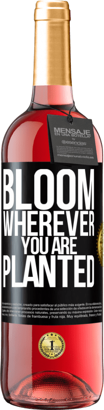 29,95 € Бесплатная доставка | Розовое вино Издание ROSÉ Цветет везде, где вы посажены Черная метка. Настраиваемая этикетка Молодое вино Урожай 2023 Tempranillo