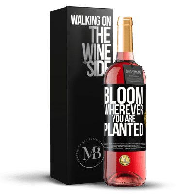 «It blooms wherever you are planted» ROSÉ Edition