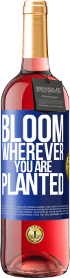 29,95 € Free Shipping | Rosé Wine ROSÉ Edition It blooms wherever you are planted Blue Label. Customizable label Young wine Harvest 2024 Tempranillo