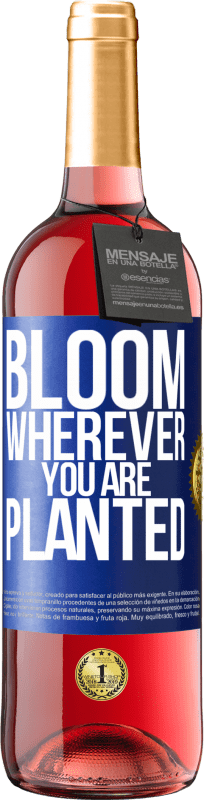 29,95 € Free Shipping | Rosé Wine ROSÉ Edition It blooms wherever you are planted Blue Label. Customizable label Young wine Harvest 2023 Tempranillo