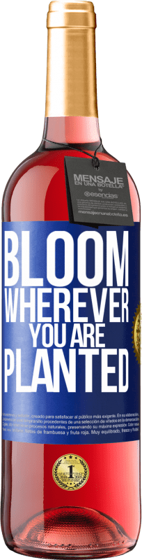 29,95 € Free Shipping | Rosé Wine ROSÉ Edition It blooms wherever you are planted Blue Label. Customizable label Young wine Harvest 2024 Tempranillo