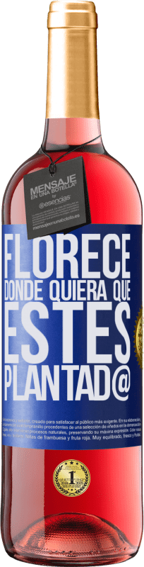 29,95 € Envío gratis | Vino Rosado Edición ROSÉ Florece donde quiera que estés plantad@ Etiqueta Azul. Etiqueta personalizable Vino joven Cosecha 2024 Tempranillo