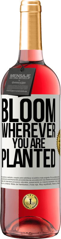 29,95 € 送料無料 | ロゼワイン ROSÉエディション どこに植えても咲く ホワイトラベル. カスタマイズ可能なラベル 若いワイン 収穫 2025 Tempranillo