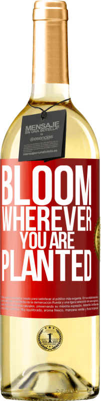 29,95 € Бесплатная доставка | Белое вино Издание WHITE Цветет везде, где вы посажены Красная метка. Настраиваемая этикетка Молодое вино Урожай 2023 Verdejo