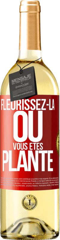 29,95 € Envoi gratuit | Vin blanc Édition WHITE Fleurissez- là où vous êtes planté Étiquette Rouge. Étiquette personnalisable Vin jeune Récolte 2023 Verdejo