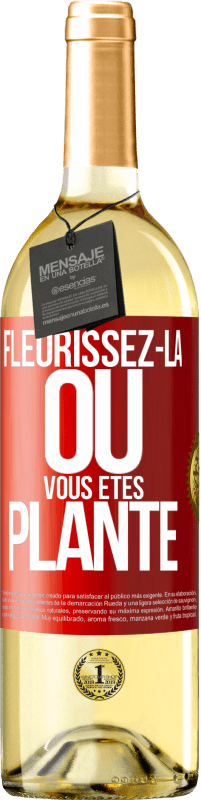 29,95 € Envoi gratuit | Vin blanc Édition WHITE Fleurissez- là où vous êtes planté Étiquette Rouge. Étiquette personnalisable Vin jeune Récolte 2024 Verdejo