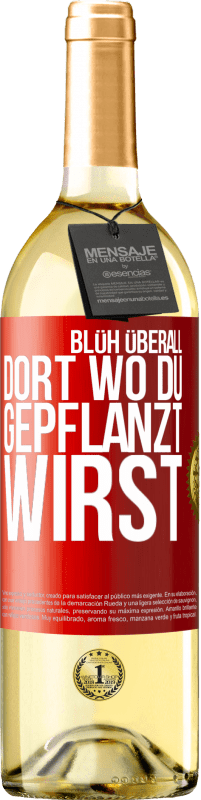 29,95 € Kostenloser Versand | Weißwein WHITE Ausgabe Blüh überall dort, wo du gepflanzt wirst Rote Markierung. Anpassbares Etikett Junger Wein Ernte 2024 Verdejo