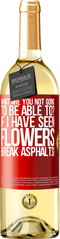 29,95 € Free Shipping | White Wine WHITE Edition what are you not going to be able to? If I have seen flowers break asphalts! Red Label. Customizable label Young wine Harvest 2023 Verdejo