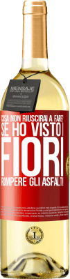 29,95 € Spedizione Gratuita | Vino bianco Edizione WHITE cosa non riuscirai a fare? Se ho visto i fiori rompere gli asfalti! Etichetta Rossa. Etichetta personalizzabile Vino giovane Raccogliere 2025 Verdejo