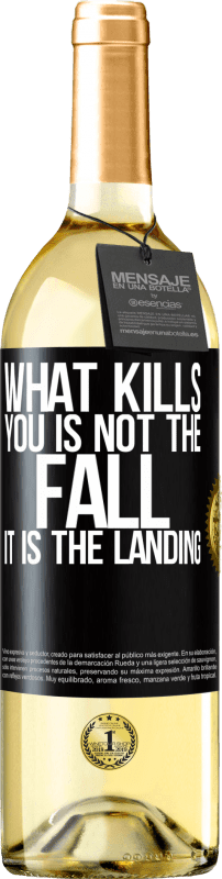 29,95 € Free Shipping | White Wine WHITE Edition What kills you is not the fall, it is the landing Black Label. Customizable label Young wine Harvest 2024 Verdejo