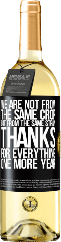 29,95 € Free Shipping | White Wine WHITE Edition We are not from the same crop, but from the same strain. Thanks for everything, one more year Black Label. Customizable label Young wine Harvest 2025 Verdejo