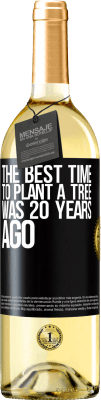 29,95 € Бесплатная доставка | Белое вино Издание WHITE Лучшее время для посадки деревьев было 20 лет назад Черная метка. Настраиваемая этикетка Молодое вино Урожай 2023 Verdejo