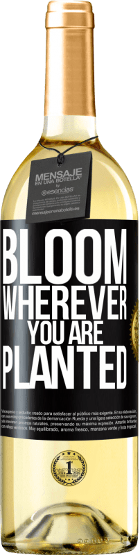 29,95 € Бесплатная доставка | Белое вино Издание WHITE Цветет везде, где вы посажены Черная метка. Настраиваемая этикетка Молодое вино Урожай 2023 Verdejo