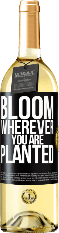 29,95 € Free Shipping | White Wine WHITE Edition It blooms wherever you are planted Black Label. Customizable label Young wine Harvest 2024 Verdejo