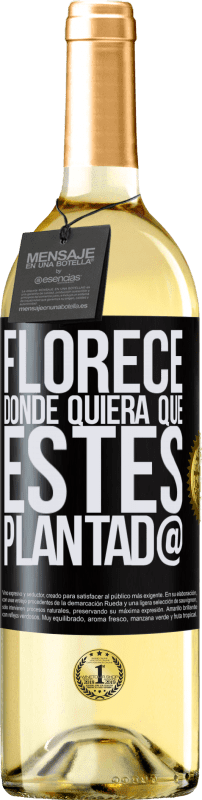 29,95 € Envío gratis | Vino Blanco Edición WHITE Florece donde quiera que estés plantad@ Etiqueta Negra. Etiqueta personalizable Vino joven Cosecha 2024 Verdejo