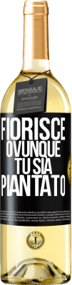 29,95 € Spedizione Gratuita | Vino bianco Edizione WHITE Fiorisce ovunque tu sia piantato Etichetta Nera. Etichetta personalizzabile Vino giovane Raccogliere 2024 Verdejo