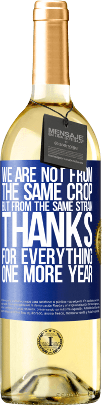 29,95 € Free Shipping | White Wine WHITE Edition We are not from the same crop, but from the same strain. Thanks for everything, one more year Blue Label. Customizable label Young wine Harvest 2024 Verdejo