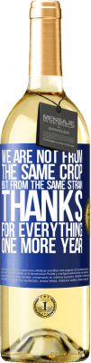 Vin