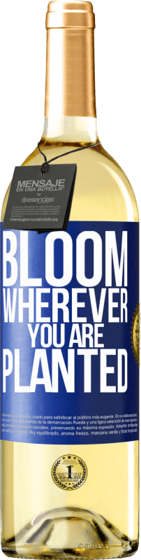 29,95 € Бесплатная доставка | Белое вино Издание WHITE Цветет везде, где вы посажены Синяя метка. Настраиваемая этикетка Молодое вино Урожай 2023 Verdejo