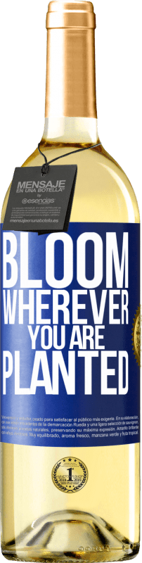 29,95 € Free Shipping | White Wine WHITE Edition It blooms wherever you are planted Blue Label. Customizable label Young wine Harvest 2024 Verdejo