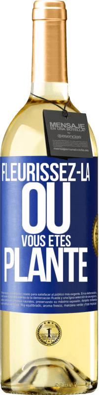 29,95 € Envoi gratuit | Vin blanc Édition WHITE Fleurissez- là où vous êtes planté Étiquette Bleue. Étiquette personnalisable Vin jeune Récolte 2023 Verdejo