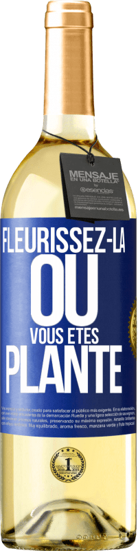 29,95 € Envoi gratuit | Vin blanc Édition WHITE Fleurissez- là où vous êtes planté Étiquette Bleue. Étiquette personnalisable Vin jeune Récolte 2024 Verdejo