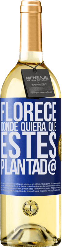 29,95 € Envío gratis | Vino Blanco Edición WHITE Florece donde quiera que estés plantad@ Etiqueta Azul. Etiqueta personalizable Vino joven Cosecha 2024 Verdejo