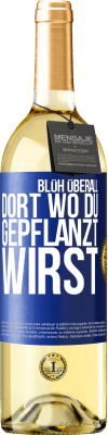 29,95 € Kostenloser Versand | Weißwein WHITE Ausgabe Blüh überall dort, wo du gepflanzt wirst Blaue Markierung. Anpassbares Etikett Junger Wein Ernte 2024 Verdejo