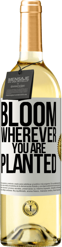 29,95 € Free Shipping | White Wine WHITE Edition It blooms wherever you are planted White Label. Customizable label Young wine Harvest 2024 Verdejo