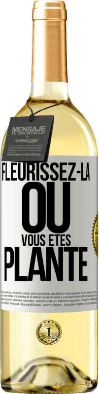 29,95 € Envoi gratuit | Vin blanc Édition WHITE Fleurissez- là où vous êtes planté Étiquette Blanche. Étiquette personnalisable Vin jeune Récolte 2023 Verdejo