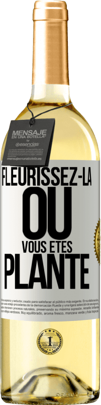 29,95 € Envoi gratuit | Vin blanc Édition WHITE Fleurissez- là où vous êtes planté Étiquette Blanche. Étiquette personnalisable Vin jeune Récolte 2024 Verdejo