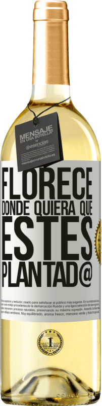 29,95 € Envío gratis | Vino Blanco Edición WHITE Florece donde quiera que estés plantad@ Etiqueta Blanca. Etiqueta personalizable Vino joven Cosecha 2023 Verdejo