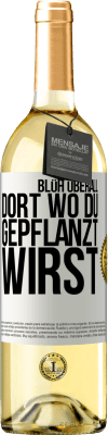 29,95 € Kostenloser Versand | Weißwein WHITE Ausgabe Blüh überall dort, wo du gepflanzt wirst Weißes Etikett. Anpassbares Etikett Junger Wein Ernte 2024 Verdejo