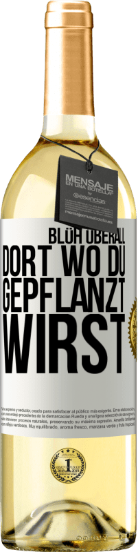 29,95 € Kostenloser Versand | Weißwein WHITE Ausgabe Blüh überall dort, wo du gepflanzt wirst Weißes Etikett. Anpassbares Etikett Junger Wein Ernte 2024 Verdejo