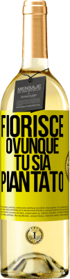 Amicizia
