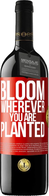 39,95 € Free Shipping | Red Wine RED Edition MBE Reserve It blooms wherever you are planted Red Label. Customizable label Reserve 12 Months Harvest 2014 Tempranillo