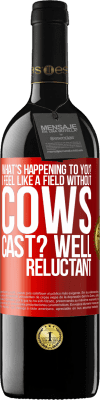 39,95 € Free Shipping | Red Wine RED Edition MBE Reserve What's happening to you? I feel like a field without cows. Cast? Well reluctant Red Label. Customizable label Reserve 12 Months Harvest 2015 Tempranillo