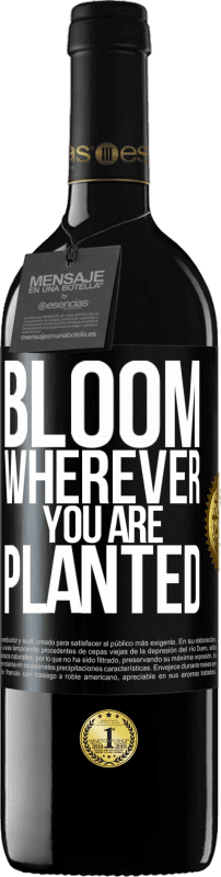39,95 € Free Shipping | Red Wine RED Edition MBE Reserve It blooms wherever you are planted Black Label. Customizable label Reserve 12 Months Harvest 2014 Tempranillo