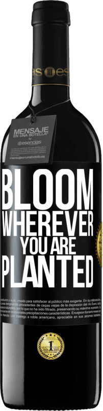 39,95 € Free Shipping | Red Wine RED Edition MBE Reserve It blooms wherever you are planted Black Label. Customizable label Reserve 12 Months Harvest 2015 Tempranillo