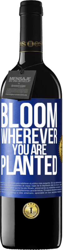 39,95 € 送料無料 | 赤ワイン REDエディション MBE 予約する どこに植えても咲く 青いタグ. カスタマイズ可能なラベル 予約する 12 月 収穫 2014 Tempranillo