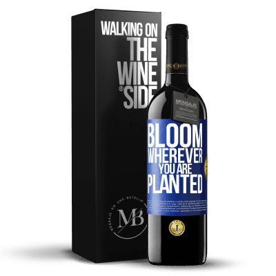 «It blooms wherever you are planted» RED Edition MBE Reserve