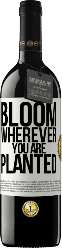 39,95 € Free Shipping | Red Wine RED Edition MBE Reserve It blooms wherever you are planted White Label. Customizable label Reserve 12 Months Harvest 2015 Tempranillo