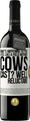 39,95 € Free Shipping | Red Wine RED Edition MBE Reserve What's happening to you? I feel like a field without cows. Cast? Well reluctant White Label. Customizable label Reserve 12 Months Harvest 2015 Tempranillo