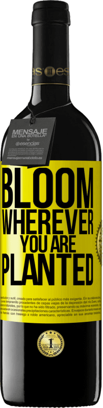 39,95 € 送料無料 | 赤ワイン REDエディション MBE 予約する どこに植えても咲く 黄色のラベル. カスタマイズ可能なラベル 予約する 12 月 収穫 2016 Tempranillo