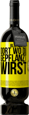 Ironisch